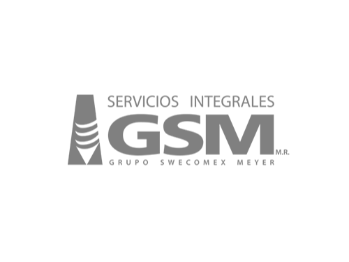 Servicios Integrales GSM